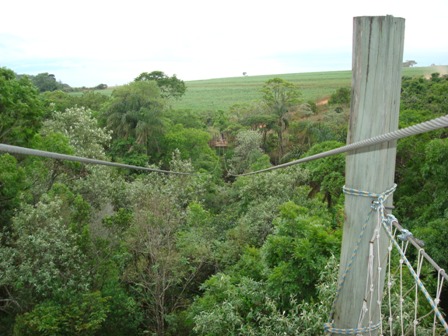 Ao fundo a plataforma de chegada