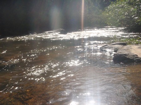 Rio Tamanduá - Brotas