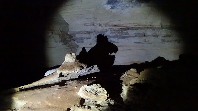 Em alguns locais o jogo de luz da lanterna cria seres das sombras.