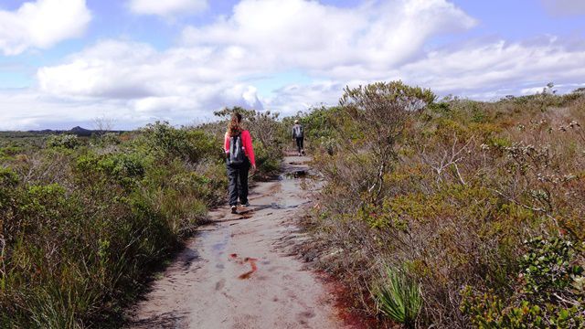 Trilha da Cachoeira da Fumaça. Chapada Diamantina.