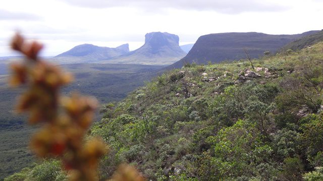 Chapada Diamantina. Tilha da Cachoeira da Fumaça.