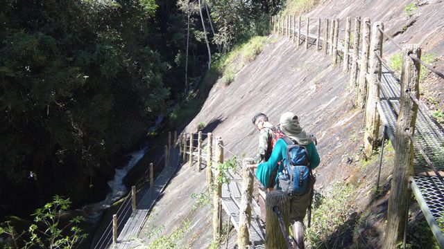 Trilha das Bromélias - Passarela da Águia.