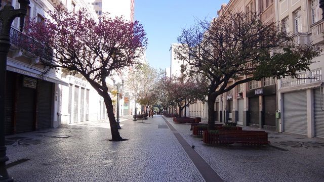 Rua XV de novembro (rua das Flores)