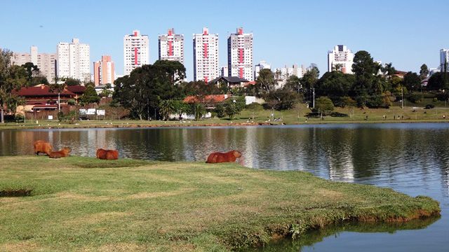 Curitiba - Parque Barigui.