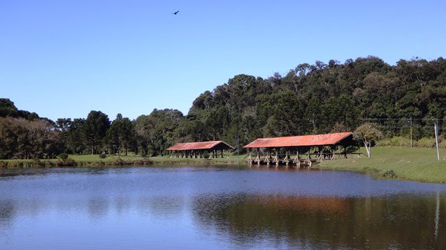 Parque Tingui, em Curitiba.