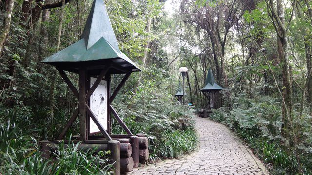 Trilha pela mata nativa do Bosque do Alemão.