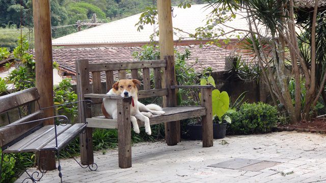 Pousada Recanto das Marias - mascote