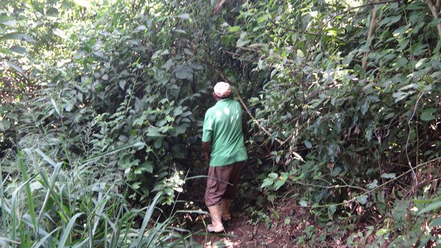 Trilha para a Cachoeira dos Macacos