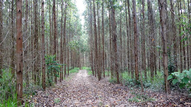 Caminhada pela fazenda