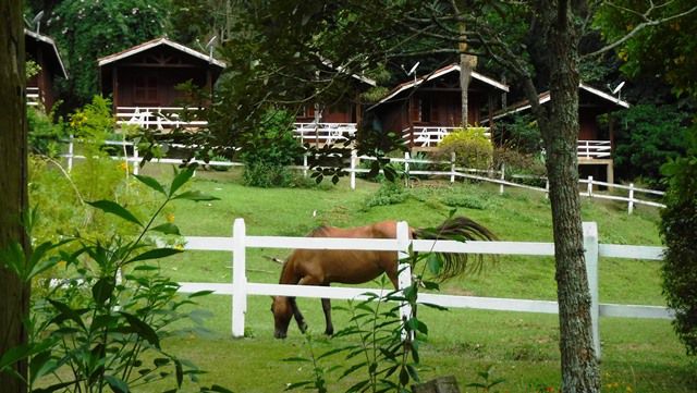 Cavalos na Pousada da Cachoeira