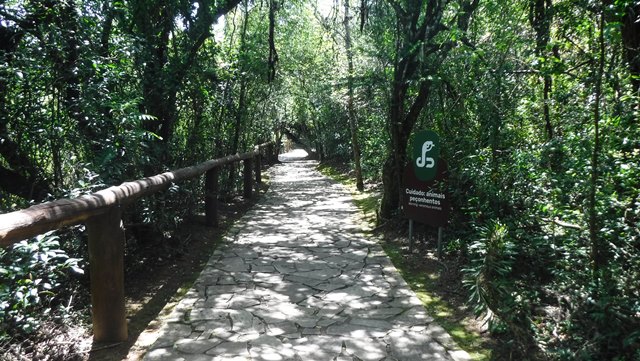 Trilha do Bosque - Parque Vila Velha