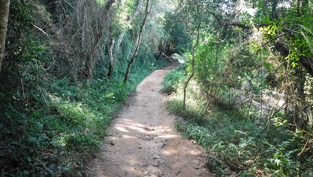 Trilha para a cachoeira da Mariquinha.