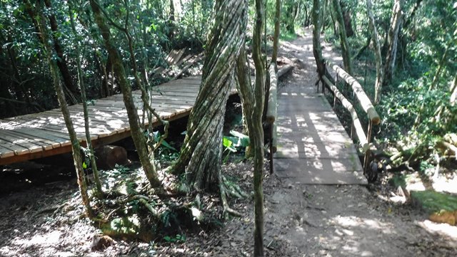 Trilha para a cachoeira da Mariquinha.