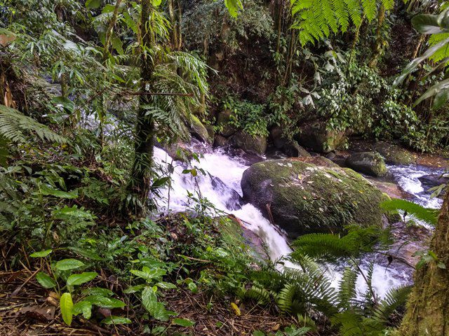 Cachoeira do Limoeiro - Tapiraí/SP