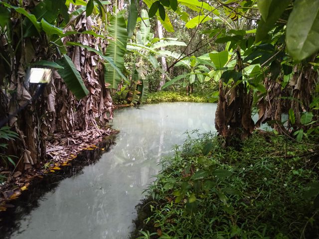 Fervedouro do Ceiça, Jalapão