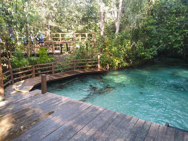 Cachoeira do Formiga