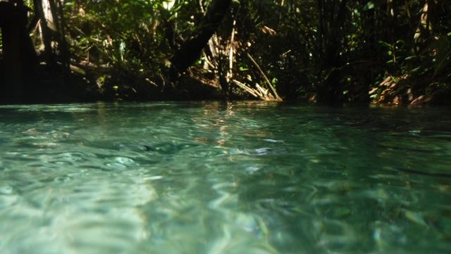 Cachoeira do Formiga