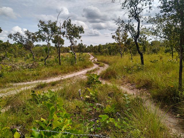 A caminhada até o fervedouro é breve, uns dois minutos