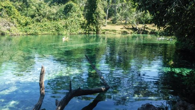 Próximo da margem da Lagoa do Japonês a água tem tons de verde