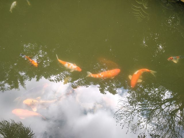 Parque Fonte Santo Agostinho em Serra Negra