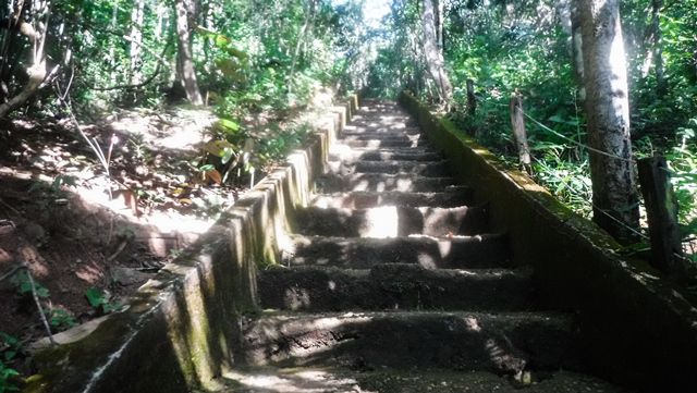 Escadaria inicial da Trilha das Cachoeiras