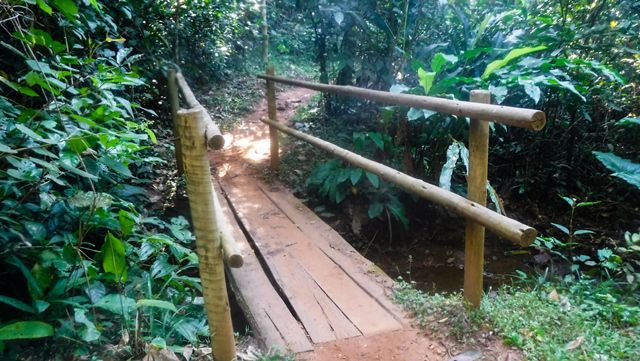 A Trilha das Cachoeiras é tranquila, com algumas travessias sobre pontes