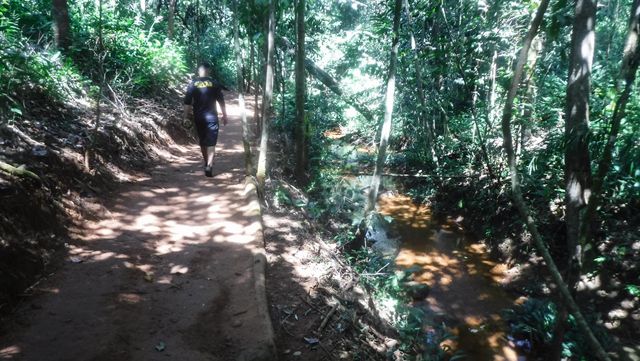 Trilha para a Cachoeira das Araras - Taquaruçu/TO