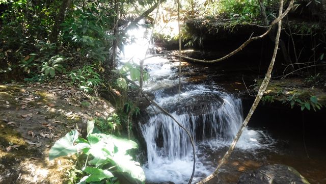 Trilha para a Cachoeira das Araras - Taquaruçu/TO