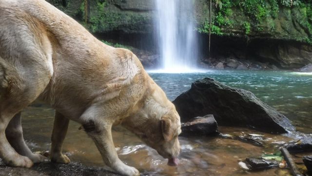 Cachoeira das Araras, Fazenda Ecológica