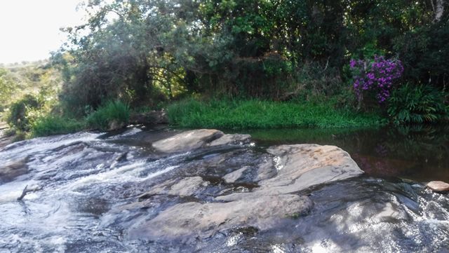 Nesse ponto o rio estava um pouco mais raso