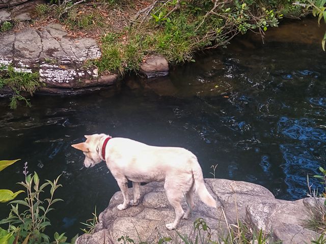 Doguinho e o poço principal da Cachoeira da Serrinha