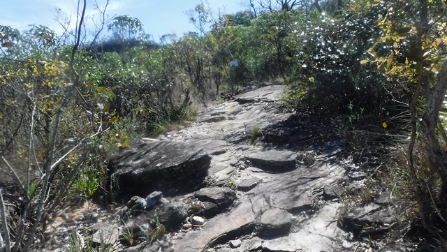 Trilha para a Cachoeira do Guatambu