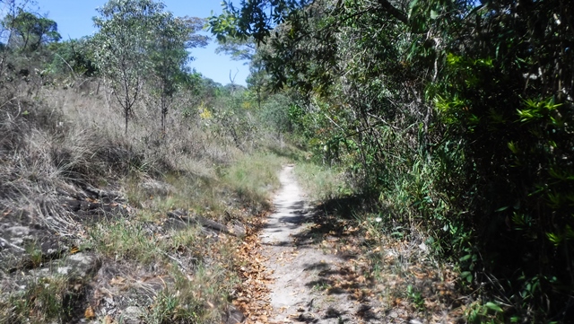 Trilha para a Cachoeira do Índio