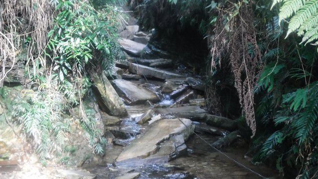 O caminho pelo riacho tem muitas pedras